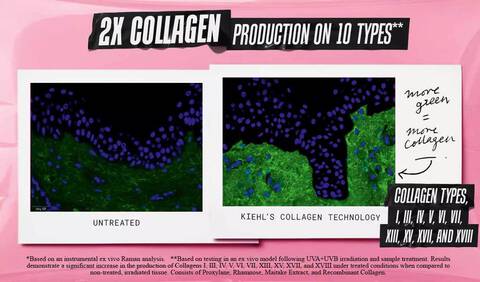 2X Collagen Production on 10 Types